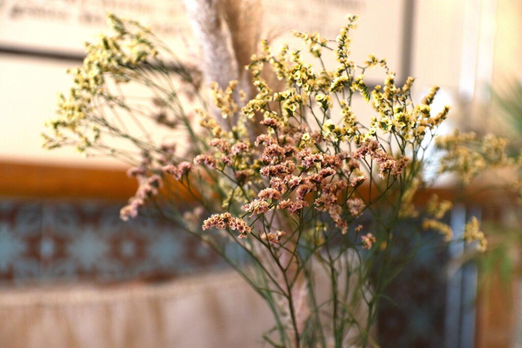 Lunchen bij Appeltje Eitje Scheveningen - Den Haag - Droogbloemen